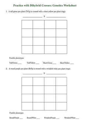 Essential Dihybrid Crosses Worksheet | Grade 9-12 Biology