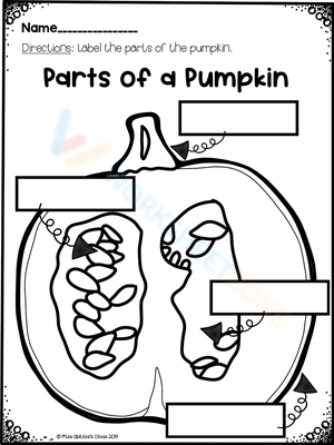 Discover the Parts of the Pumpkin Worksheet