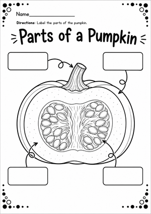 Parts of the Pumpkin Worksheet | Grade 1 Essential