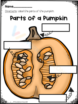 Learn the Parts of the Pumpkin with this Worksheet
