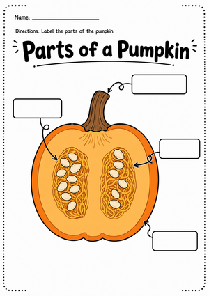 Parts of a Pumpkin Worksheet | Grade 1 Printable