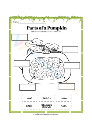Discover the Anatomy: Parts of the Pumpkin Worksheet