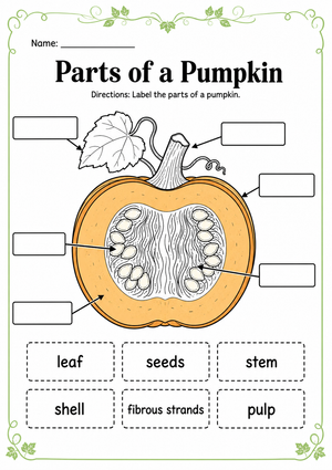 Printable Parts of a Pumpkin Worksheet | Grade 1 Science