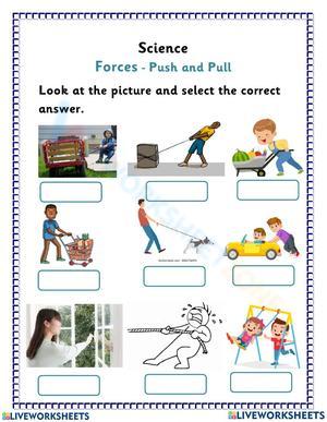 Science: Identify Push or Pull Worksheet Activity