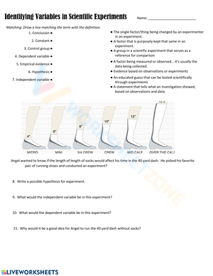 Identify Variables in Scientific Experiments