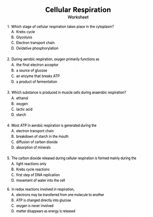 HS Cellular Respiration — Printable No-Prep Worksheet