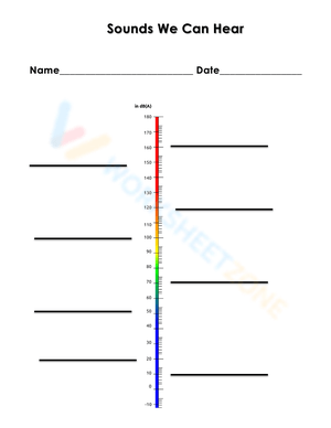Worksheet About Sounds We Can Hear