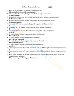 Cellular Respiration Review Worksheet