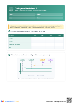 Cladogram Worksheet for Evolutionary Relationships