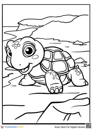 Cute turtle