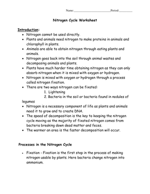 Updated Nitrogen Cycle Worksheet