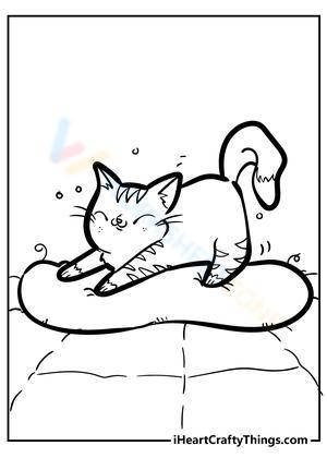 Fluffy Kitten Image