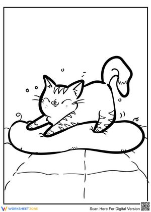 Fluffy Kitten Image