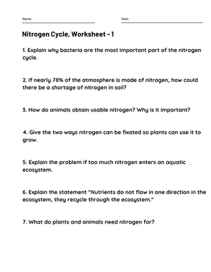 Nitrogen Cycle Explained