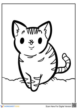 Cute kitten