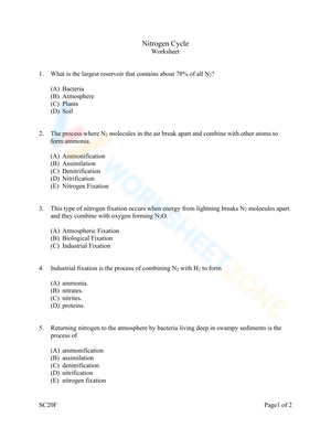 Nitrogen Cycle Worksheet 3