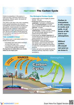 Carbon Cycle Fact Sheet – Biological & Geological Processes