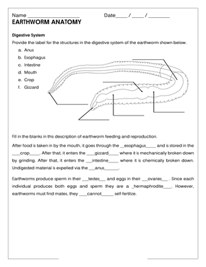 Grade 5 Earthworm Anatomy — Printable No-Prep Worksheet