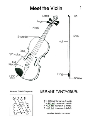 Label the Parts of Violin