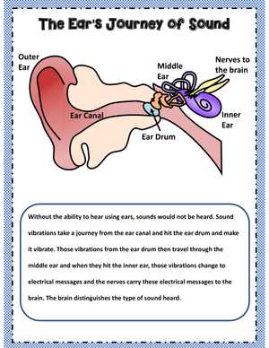 The Ear's Journey of Sound