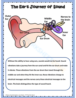The Ear's Journey of Sound
