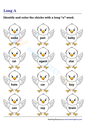 Identifying and Coloring Long A Words