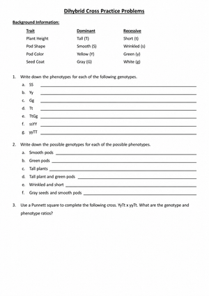 Essential Dihybrid Cross Practice | Grade 9-12 Biology