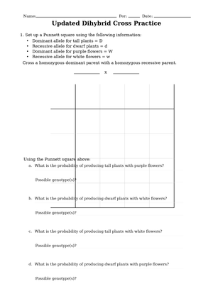 Printable Dihybrid Cross Worksheet | Grade 9-12 Biology