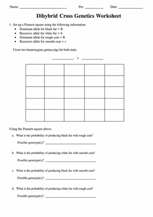 Dihybrid Cross Genetics Worksheet | Essential Biology