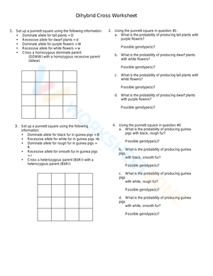 Dihybrid Cross Genetics Worksheet