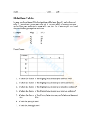 Advanced Dihybrid Cross Worksheet