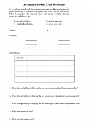 Printable Dihybrid Cross Worksheet | Grade 9-12 Biology