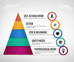 Understanding Human Motivation