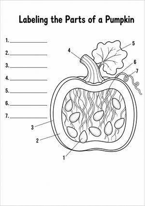 Printable Pumpkin Labeling Worksheet | Grade 1 Science