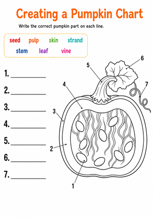 Grade 1 Pumpkin Anatomy — Printable No-Prep Worksheet