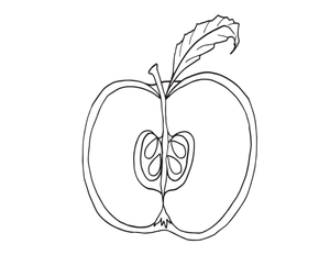Explore the Apple Chart Worksheet