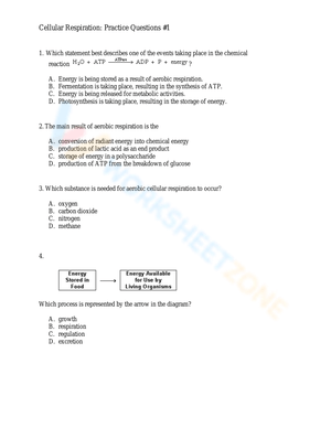 Practice Cellular Respiration Questions