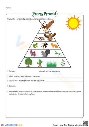 Discover the Wonders of Ancient Egypt