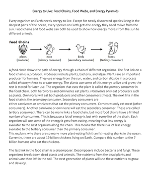 Exploring Energy Pyramid Concepts