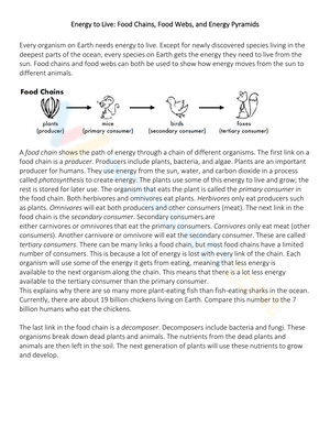Exploring Energy Pyramid Concepts