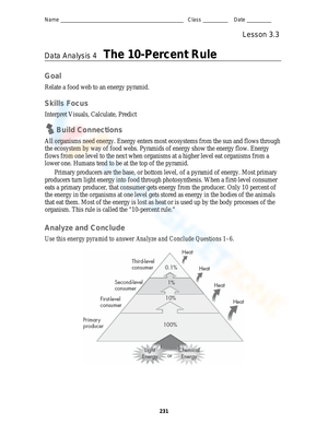 Practice with the Energy Pyramid