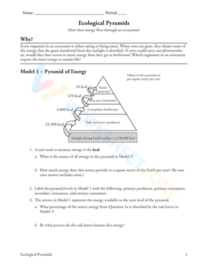 Understand the Pyramid of Energy