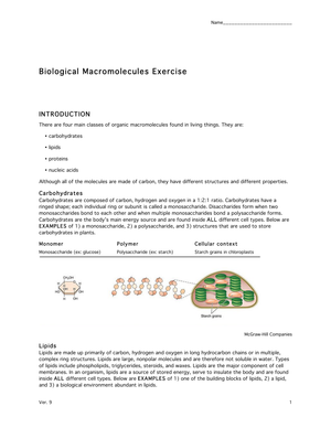 Macromolecules Exercise: Chemistry