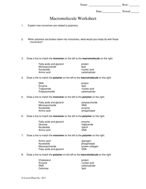 Practice Macromolecule Concepts