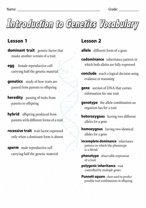 Grade 8 Genetics Vocabulary — Printable No-Prep Worksheet