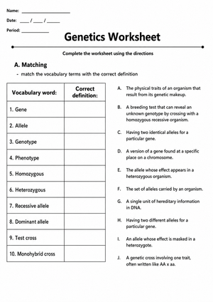 Essential Genetics Vocabulary & Punnett Square Worksheet