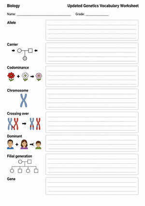 Grade 9 Genetics Vocabulary — Printable No-Prep Worksheet