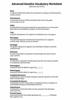 Grade 8 Genetics Vocabulary — Printable No-Prep Worksheet