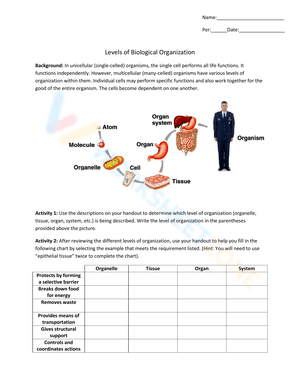 Levels of Biological Organization Worksheet 5