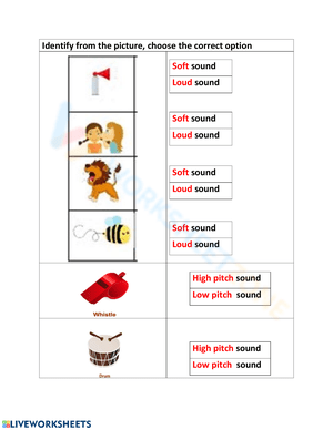 Identify Sounds Worksheet for Kids